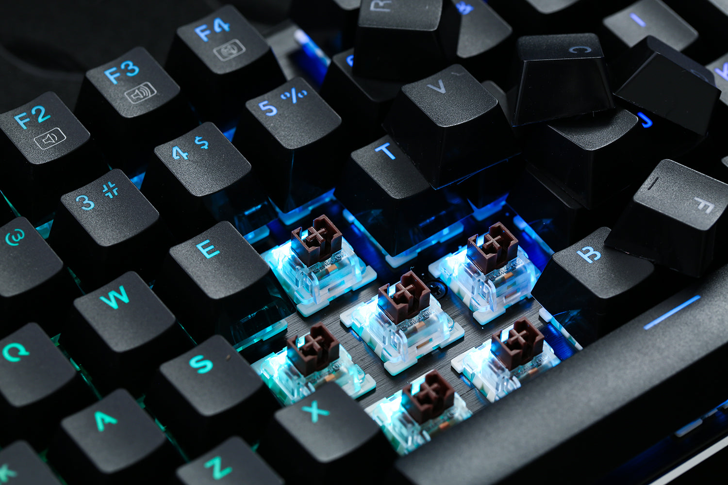 What mechanical keyboard switches should I get: red, blue, brown or black? 