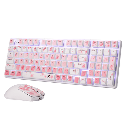 Redragon BS7552 Wireless Keyboard and Mouse Combo 
