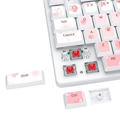 Redragon BS7552 Wireless Keyboard and Mouse Pink Combo 