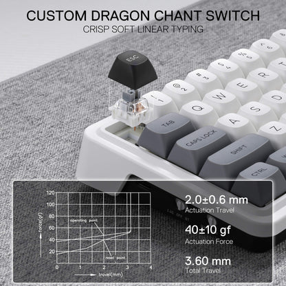 Redragon K722 PRO 60% Wireless Gasket RGB Gaming Keyboard, 61 Keys Hot-Swap Compact Mechanical Keyboard w/Free-Mod Socket, 5-Layer Noise Dampening & Round PBT Keycaps, Quiet Custom Linear Switch