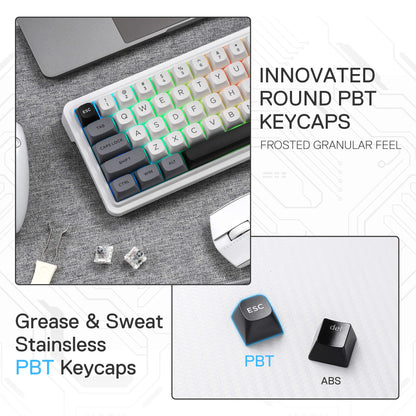 Redragon K722 PRO 60% Wireless Gasket RGB Gaming Keyboard, 61 Keys Hot-Swap Compact Mechanical Keyboard w/Free-Mod Socket, 5-Layer Noise Dampening & Round PBT Keycaps, Quiet Custom Linear Switch