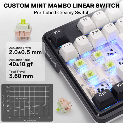 Mechanical keyboard with custom mint mambo linear switch on a white background
