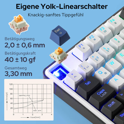 Redragon K689 QWERTZ Kabelgebundene Gasket Gaming‑Tastatur Hot‑Swap
4 Zusatzhotkeys 3‑lagiger Geräuschdämpfung bunte Tastenkappen