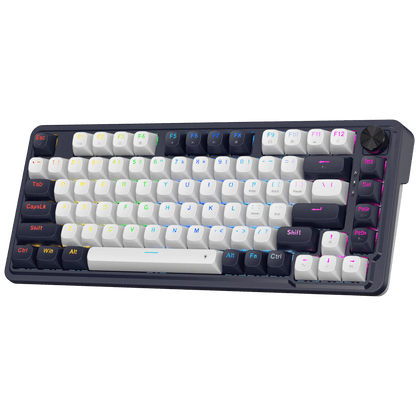 Redragon K673 HE Rapid Trigger Gaming Keyboard, 81 Keys 8K Wired Mechanical Keyboard w/Next-Gen UltraMag 100% POM Silky Magnetic Switch, Dual-Module Floating Structure Design, 2-Layer Noise Dampening